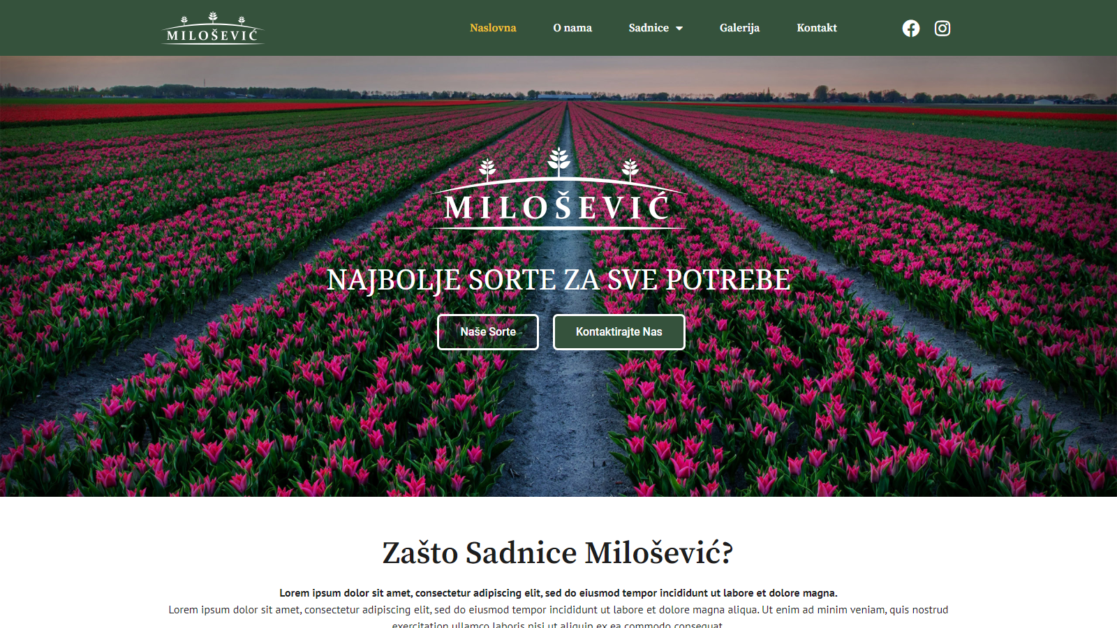 Portfolio-item-image